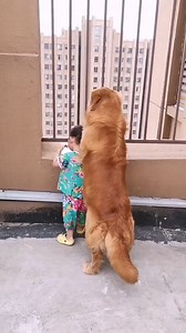 Funny so funny videos ❤️🤣👇🔥🙏❤️ | Titie Tendo Tabel