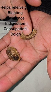 148K views · 1.9K reactions | Yellow myrobalan / zard halila Make your teeth shiny Helps in Gases Libido Bloating Flatulence Indigestion And many more #link https://wp.me/p2vgwE-tT | Javaid Speaks | Facebook