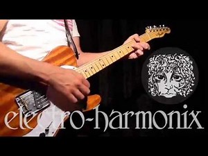 EHX electro-harmonix Small Stone & Soul Food demo