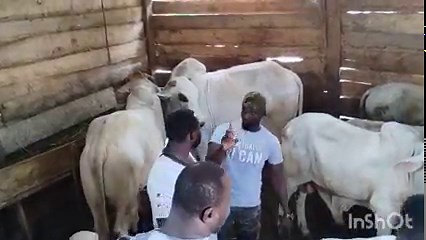 #EID 2023 SACRIFICE. | Peace Dawah Media