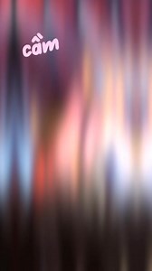 Cat lover's wedding | White Wedding Decor & More