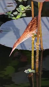 Md Sakel Islam on Reels