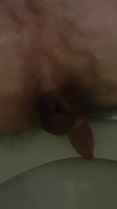 Today's poop after dinner