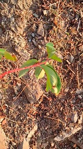 86K views · 3.1K reactions | Amazing view #reelsviralシfb #beautifulscenery | Beauty Of Islam | Facebook