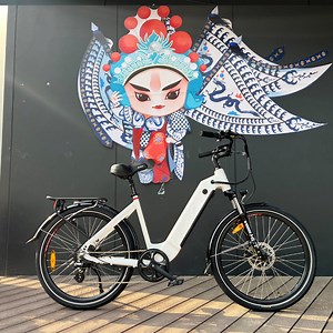 [Hot Item] Lohas 26*4.0inch Fat Tire Electric Mountain Bicycle 1000W MID Drive Motor Ebike