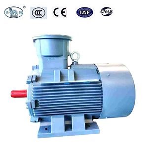 [Hot Item] Three Phase Explosion Proof Flameproof AC Electrical Asynchronous Ex Electric Motor