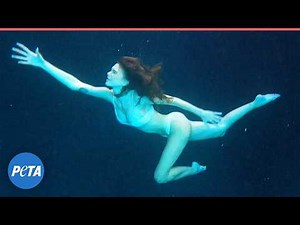 Lala Kent Urges Parents to AVOID SeaWorld