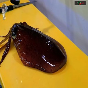 KOREAN STREET FOOD GIANT OCTOPUS DEVIL FISH KOREA SEAFOOD MARKET 포항 송도활어회센터 문어 | Daindiashop | Facebook