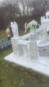 Paddy Doherty Site on Reels