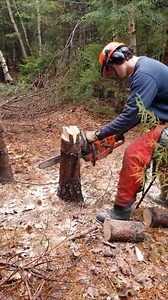 Genius inventions that will make your life easier 2023 | Tricker Daily