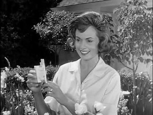 1962 Raleigh Cigarettes Housewives Advert