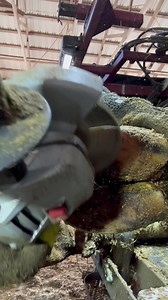 64K views · 273 reactions | SMOOTH MOVE EX-LAX! | Steve Wunderlich Hoof Care | Facebook