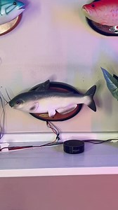 Russian Jews on Reels