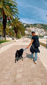 Saranda Albania 🇦🇱 Saranda is known to have some of the most spectacular beaches in all of Europe. Saranda is the largest town located on the Albanian Riviera and it’s quickly becoming a tourist hotspot due to the beauty of its surrounding landscapes and unspoiled beaches. #saranda #beaches #southalbania #albaniariviera #earth #traveltheworld #hiddengems #newdestination #fyb #albania🇦🇱 #visitalbania #beachesoftheworld #beautifulplace #summerplace #beachvibes #playingwithmydog | Andi Aredin