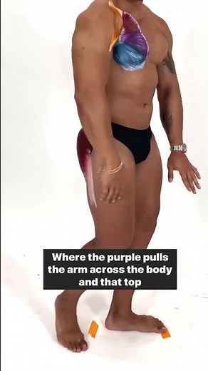 Anatomy lesson 101 on the glutes and pecs featuring one of the best bods you’ve ever seen. 🤓📚