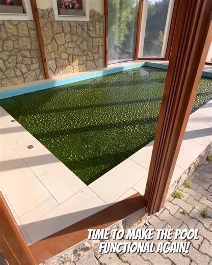 Deeply cleaning this dirty and smelly pool🧽 | MetDaan Creative