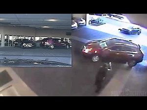 Carjacking Suspect Fatally Shot After Police Chase in Nevada