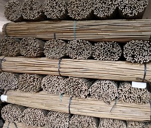 [Hot Item] Cheap Bamboo Poles for Garden Guardrails