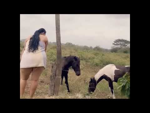 Charming Farm Girl and Her Donkey: A Heartwarming Day on the Farm