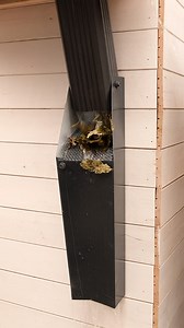 DIY Gutter Leaf Filter | Crafty Panda
