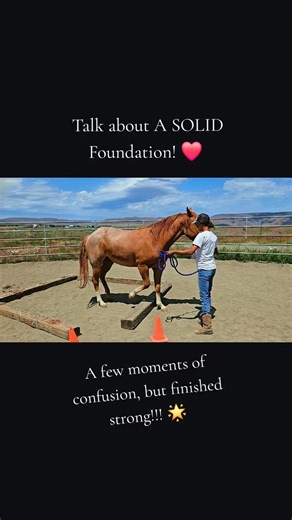 Goose I have had since a yearling. He started with the basics of Baby Boot Kamp learning all the groundwork basics, and then was lightly started by me as a 2yr old and sent home to just grow up, mature, and bond with his girl. I rode him once in October and then he has been allowed to just grow up some. He is now back to the barn, and so one of the things I did with him today was see what he remembered. I told myself "let's challenge him to this sidepassing the square obstacle and see how he doe