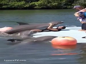 Dolphin need her pussy