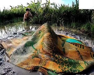 Wayne Lai Lê Diệu Tường (黎耀祥) on Reels