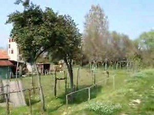 Sant' Erasmo, Venice