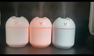 Price 920 | Asian Collection