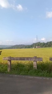 10K views · 233 reactions | Siniloan, Laguna | Discover Laguna PH | Facebook