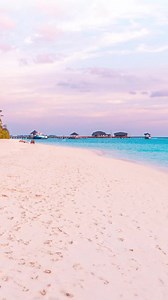 1.8K views | APEX พร้อมสนับสนุนทุกความมั่นใจใน Bikini Beach Race...