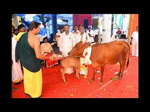 Making Video of SSLF - Building our New Own Office