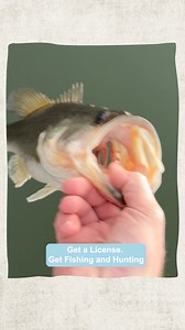 Unlock endless outdoor opportunities in Tennessee. Get your fishing and hunting license and explore all the state has to offer! | Tennessee Wildlife Resources Agency