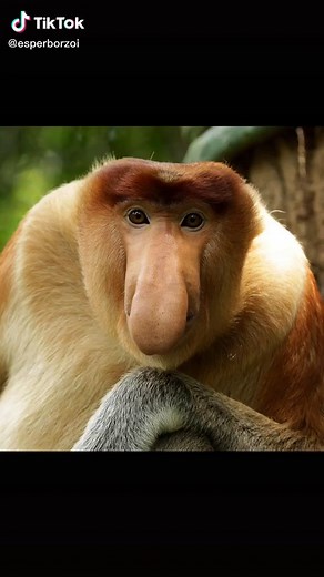 MyLittleRussianLady on TikTok