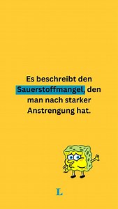 Langenscheidt on Reels