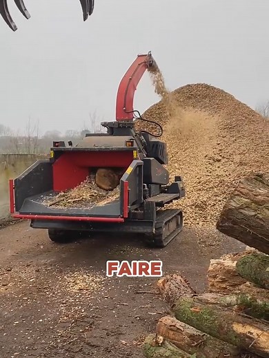 Processus de fabrication du papier à partir de bois de peupliers - Découverte intrigante !