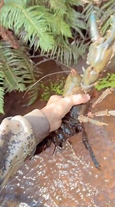 Tasmania is FUGGIN wild! | Veterans Fishing