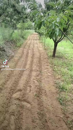 Herbicides paba ang gamit mo sa pagtanggal ng mga damo o dikaya mano mano lang? Subukan mo na itong Power Weeder Machine naten. 💚Power Weeder Machine Bound to nationwide. Maraming Salamat sa atin mga suki sa pagtitiwala. 🌱🌿Ano pang hinihintay mo kabayan? Bili na! ng mapadali ang iyong gawain. Murang mura na mga kabayan! presyong kaibigan lang.Gusto mong malaman? Tumawag lamang samin sa mga sumusunod:09173065406 magmessage dito sa aming page. Muli magandang araw! Kabayan😎.#agriculture #tiller