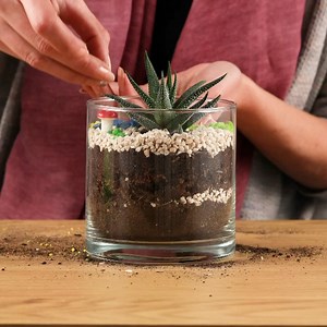 2 terrarium ideas that will brighten up your room. | MetDaan DIY