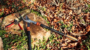 Pillanatképek az arborétumból: Folly kertpercek | Folly Arborétum és Borászat