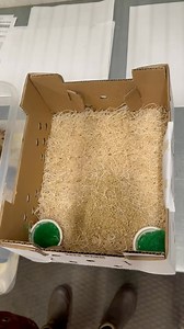 2.8K views · 82 reactions | Happy Friday!  We often get asked how...