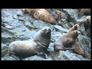 Waters Edge Lodge - All Inclusive Self Guided Fishing Lodge in Elfin Cove, Alaska.