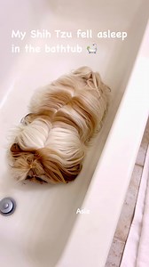 Asia fell asleep inside the bathtub 🛀 Follow Likes and Share For More Video #zoemiaasia | Zoe Mia Asia