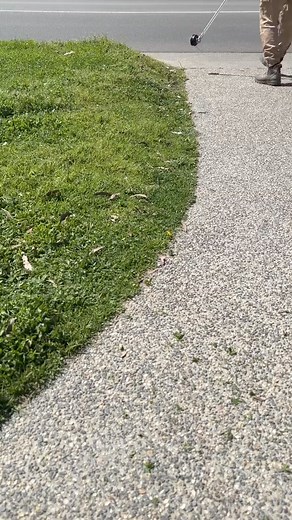 🏡🏠🌾🍃🌱 . . . . . #yew #yewhedge #yewhedges #yewtopiary #topiary #topiaryhedge #topiarygarden #topiarygardens #hedge #bush #bushes #bushclipping #trimming #trimmingbushes #hedgecutting #hedgesofinstagram #gardening #garden #rain #bathtime #bathgardener #bath #cotswolds #lemonjelly #wetday #satisfying #satisfyingvideos | Blackhead Top USA