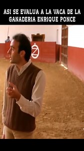 Enrique Ponce así evalúa a las vacas de su ganadería en el tentadero, sobre todo cuando embiste al caballo y luego toreando con la muleta #Toros #TorosBravos #TorosEnElCampo #TorosDeLidia #Documental | Arte Taurino TV