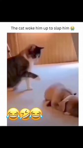 😂😂😂😂😂 | Memes Maker