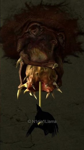 Half-Life 2 Natural Selection