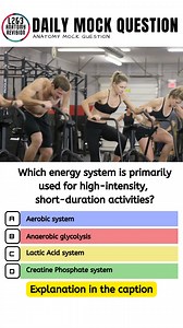 4 comments | Which energy system is primarily used for...