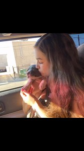 Bebe loki💙 | Daniela Rodriguez