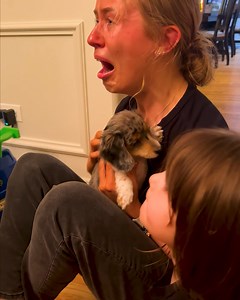 She's getting a puppy as a graduation surprise🥲 | MetDaan Animals